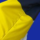 Camiseta Neymar JR 2025 (Edición Especial Neymar)