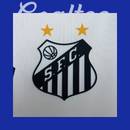 Camiseta Neymar JR 2025 (Edición Especial Neymar)