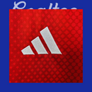 Camiseta Ajax 25/26 (Modelo Aficionado)