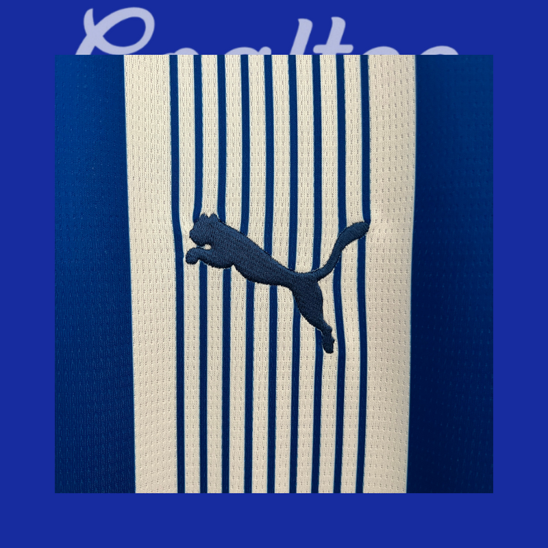 Camiseta Alaves 24/25 (Modelo Aficionado)