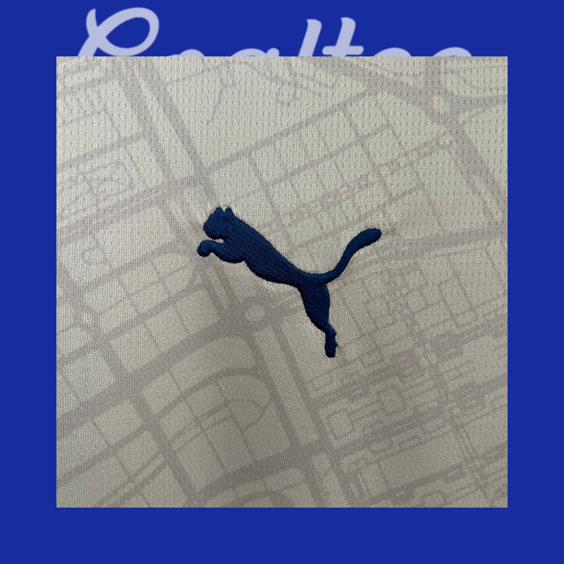Camiseta Alaves 24/25 (Modelo Aficionado)