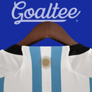 Camiseta Argentina 2022 (Modelo Aficionado)