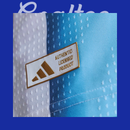 Camiseta Argentina Mundial 2026 (Modelo Aficionado)