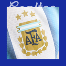 Camiseta Argentina Mundial 2026 (Modelo Aficionado)