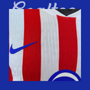 Camiseta Atlético de Madrid 25/26 (Modelo Jugador)