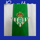 Camiseta Betis 24/25 (Manga Larga)