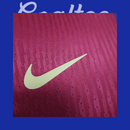 Camiseta Barcelona 24/25 (Modelo Jugador)