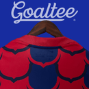 Camiseta Barcelona 24/25 (Entrenamiento)