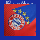 Camiseta Bayern Munich 22/23