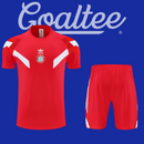 Conjunto Bayern Munich 25/26 (Entrenamiento)