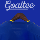 Camiseta Boca Juniors 23/24 (Modelo Aficionado)