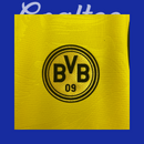 Camiseta Borussia Dortmund 25/26 (Modelo Aficionado)