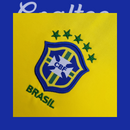 Camiseta Brasil 04/06 (Retro)