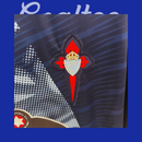 Camiseta Celta de Vigo 25/26 (Modelo Aficionado)