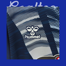 Camiseta Celta de Vigo 25/26 (Modelo Aficionado)