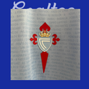 Camiseta Celta de Vigo 24/25 (Modelo Aficionado)