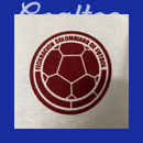 Camiseta Colombia 2024 (Modelo Jugador Edición Especial)