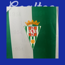 Camiseta Cordoba 24/25 (Modelo Aficionado)