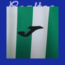 Camiseta Cordoba 25/26 (Modelo Aficionado)