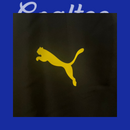 Cortavientos Dortmund 24/25