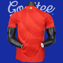 Camiseta España 24/25 (Modelo Jugador)