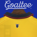 Camiseta Ecuador 25/26 (Modelo Aficionado)