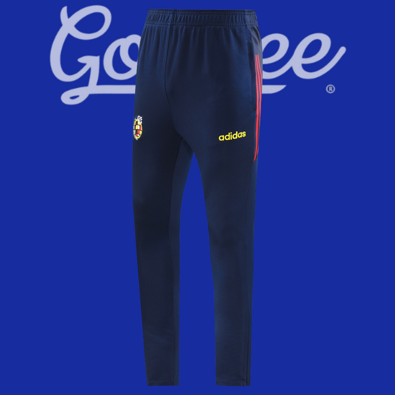 Chándal España 1996 (Retro)