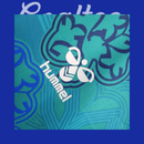 Camiseta Everton 24/25 (Modelo Aficionado)