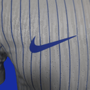 Camiseta Francia 24/25 (Modelo Jugador)