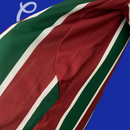 Camiseta Fluminense 25/26 (Modelo Aficionado)