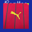 Camiseta Guinea 24/25 (Modelo Aficionado)