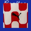 Camiseta Girona 24/25 (Modelo Aficionado)