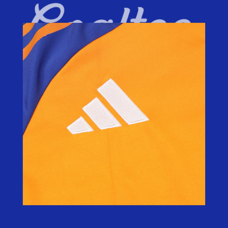 Chándal Juventus 24/25