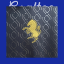 Camiseta Juventus 24/25 (Modelo Aficionado)