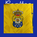 Camiseta Las Palmas 24/25 (Modelo Aficionado)