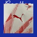 Camiseta Leipzing 24/25 (Modelo Aficionado)