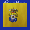 Camiseta Las Palmas 25/26 (Modelo Aficionado)