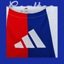 Camiseta Lyon 25/26 (Modelo Aficionado)