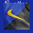 Camiseta Inter Milan 01/02 (Retro)