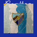 Camiseta Malaga 24/25 (Modelo Aficionado)
