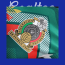 Camiseta Mexico 24/25 (Modelo Jugador Edición Especial)