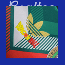 Camiseta Mexico 24/25 (Modelo Jugador Edición Especial)