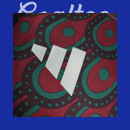 Camiseta Mexico 24/25 (Modelo Jugador)