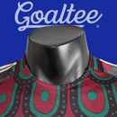 Camiseta Mexico 24/25 (Modelo Jugador)