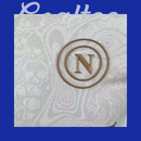 Camiseta Napoli 25/26 (Modelo Jugador)