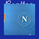 Camiseta Napoli 25/26 (Modelo Jugador)