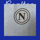 Camiseta Napoli 25/26 (Modelo Aficionado)