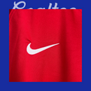 Camiseta Portugal 2016 EUROCOPA (Manga Larga Retro)