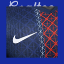 Camiseta PSG 25/26 (Modelo Jugador)