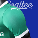 Camiseta Palmeiras 25/26 (Modelo Jugador)